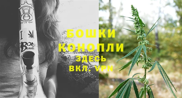 каннабис Богданович